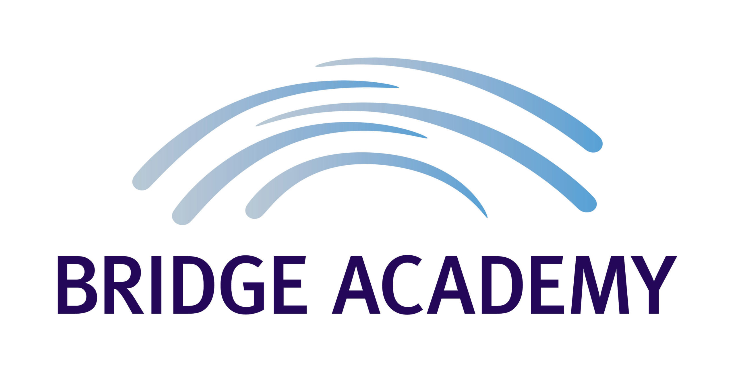 Bridge Acadamy Logo