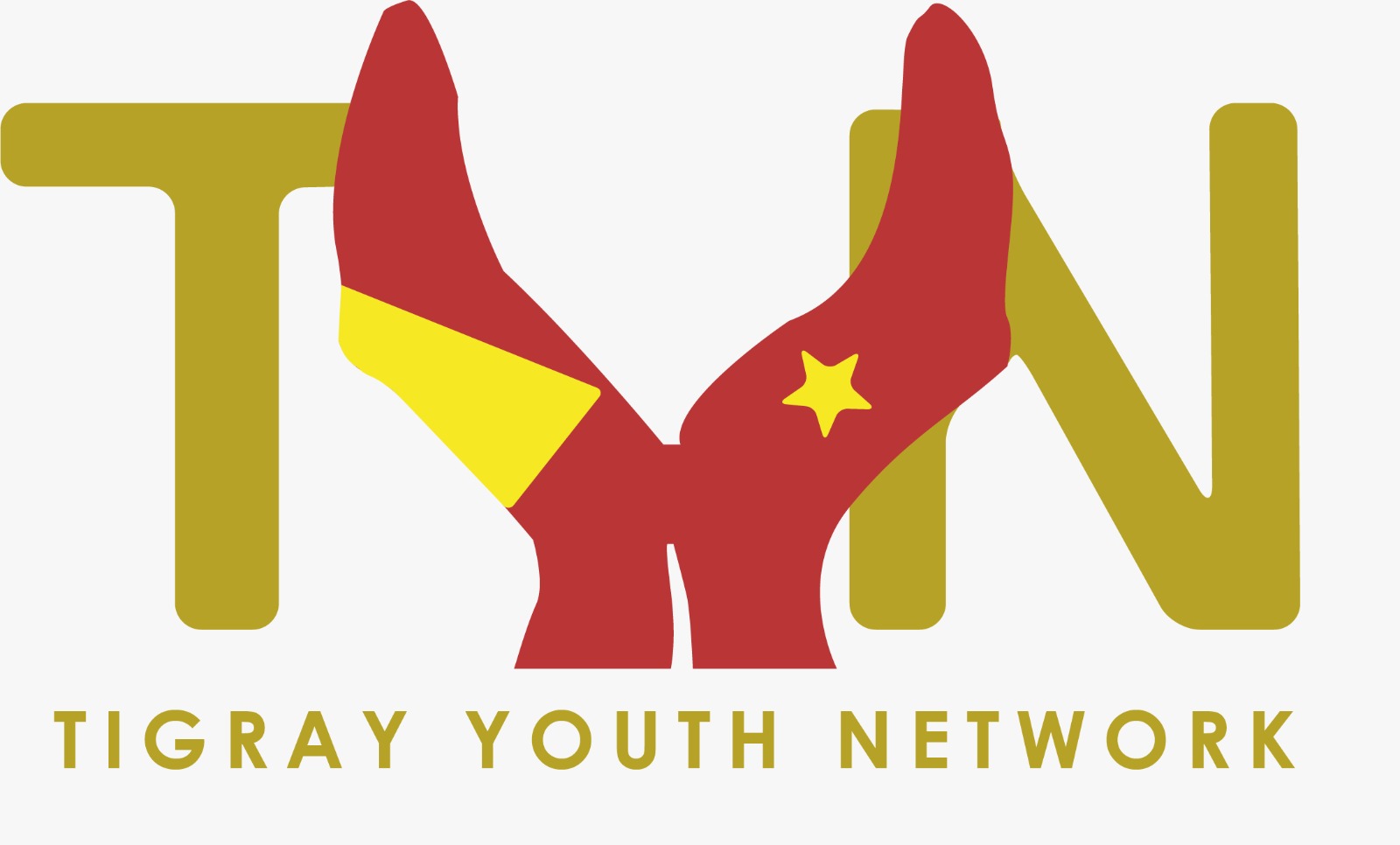 Tigray Youth Network
